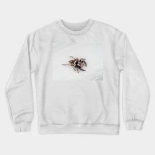 Jumping spider Crewneck Sweatshirt